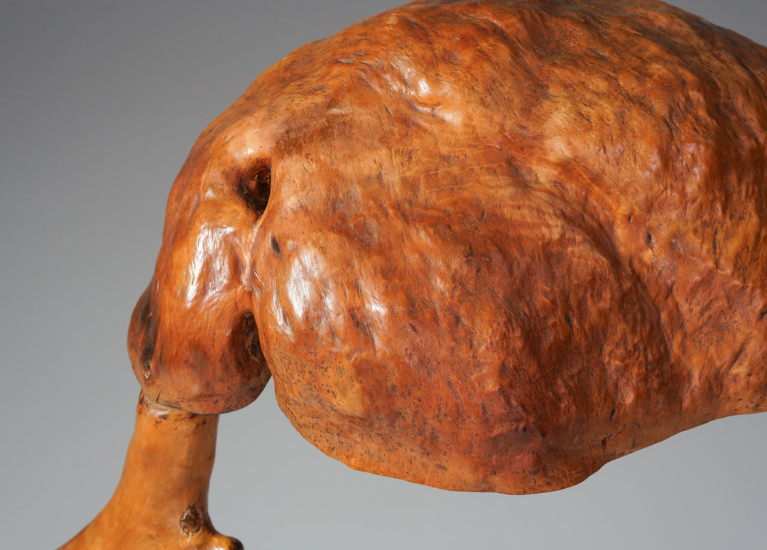 Burl floor lamp, Mid-20th century
