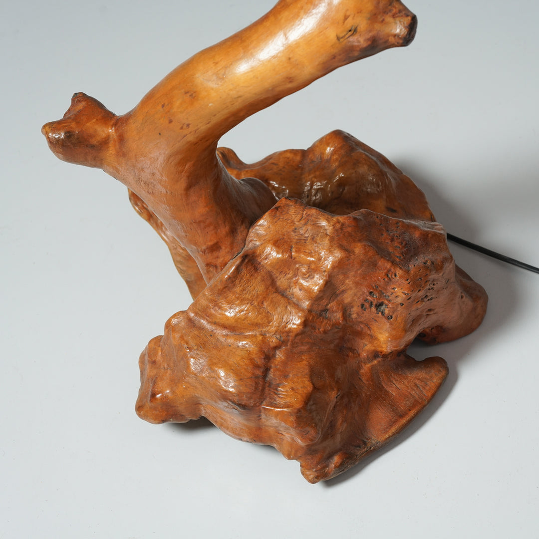 Burl floor lamp, Mid-20th century