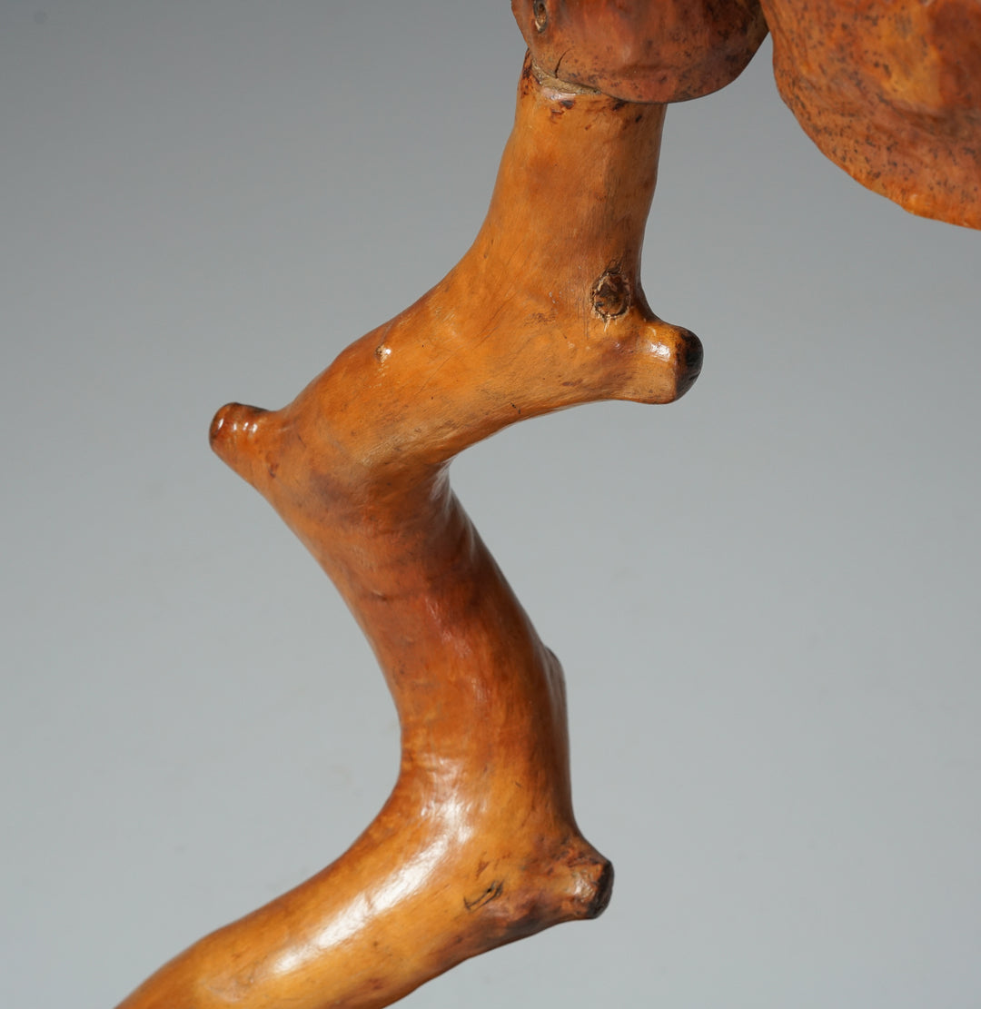 Burl floor lamp, Mid-20th century