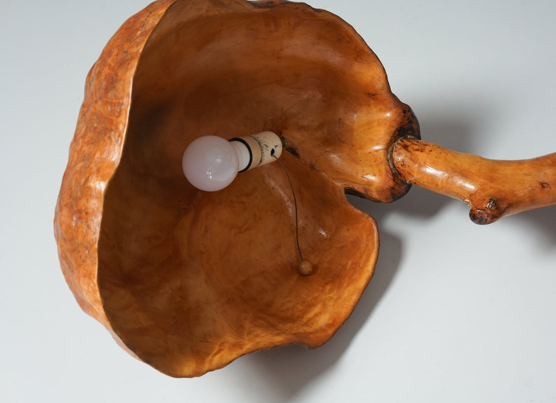 Burl floor lamp, Mid-20th century